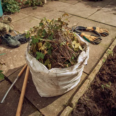 Garden Clearance